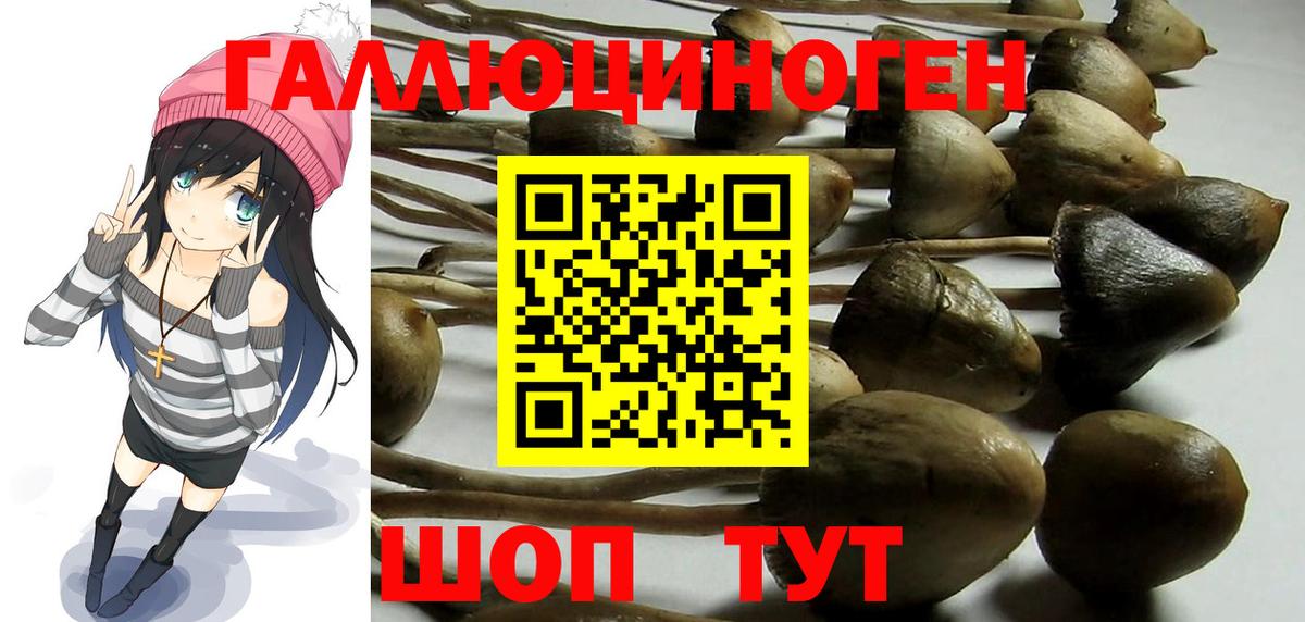 Галлюциногенные грибы мицелий Реж